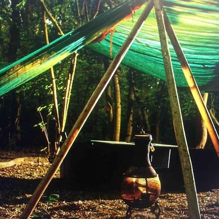 Magical Forest Yurt Sturry Buitenkant foto