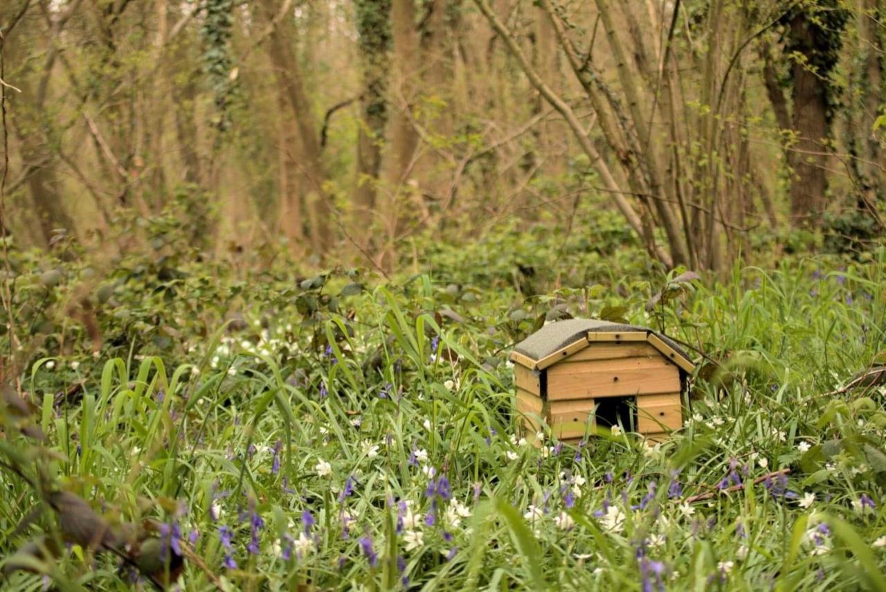 Magical Forest Yurt Sturry Buitenkant foto
