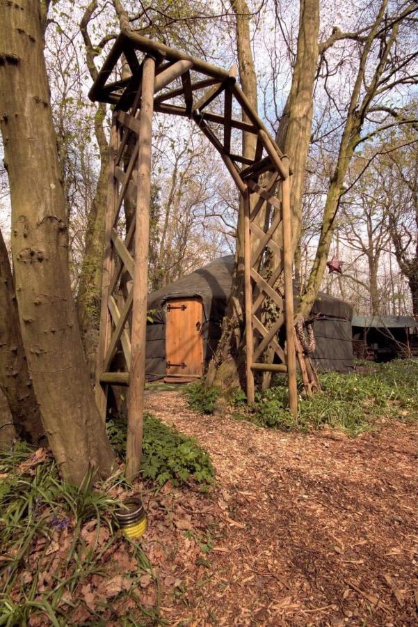 Magical Forest Yurt Sturry Buitenkant foto