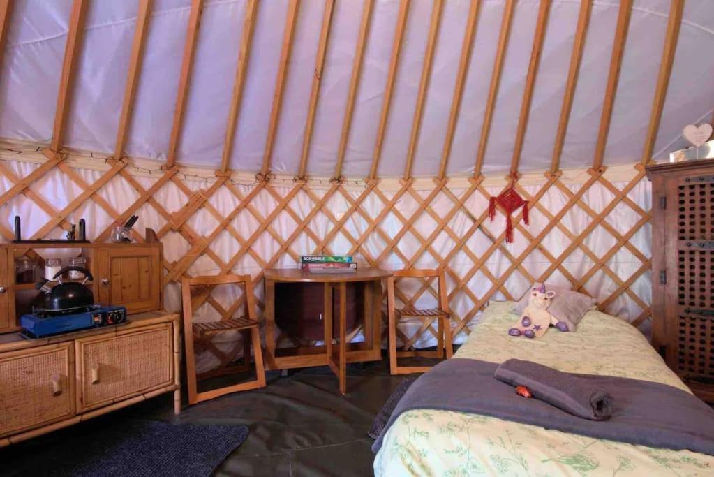 Magical Forest Yurt Sturry Buitenkant foto