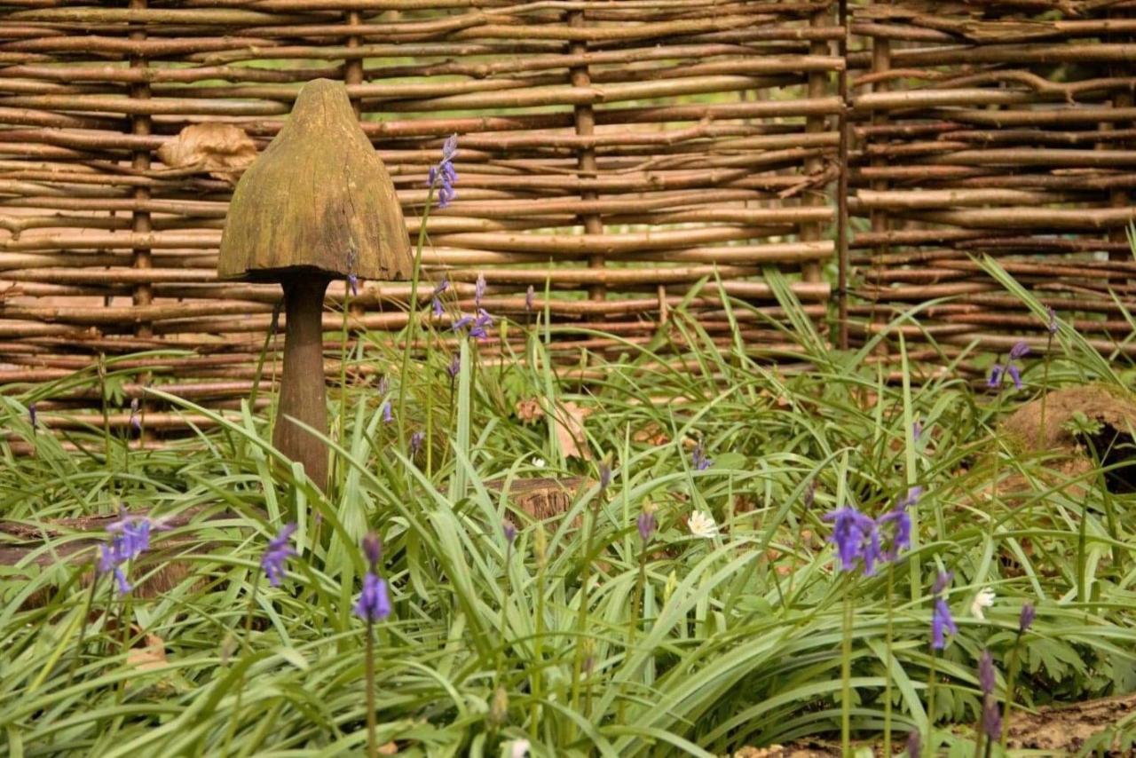 Magical Forest Yurt Sturry Buitenkant foto