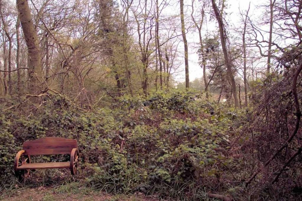 Magical Forest Yurt Sturry Buitenkant foto
