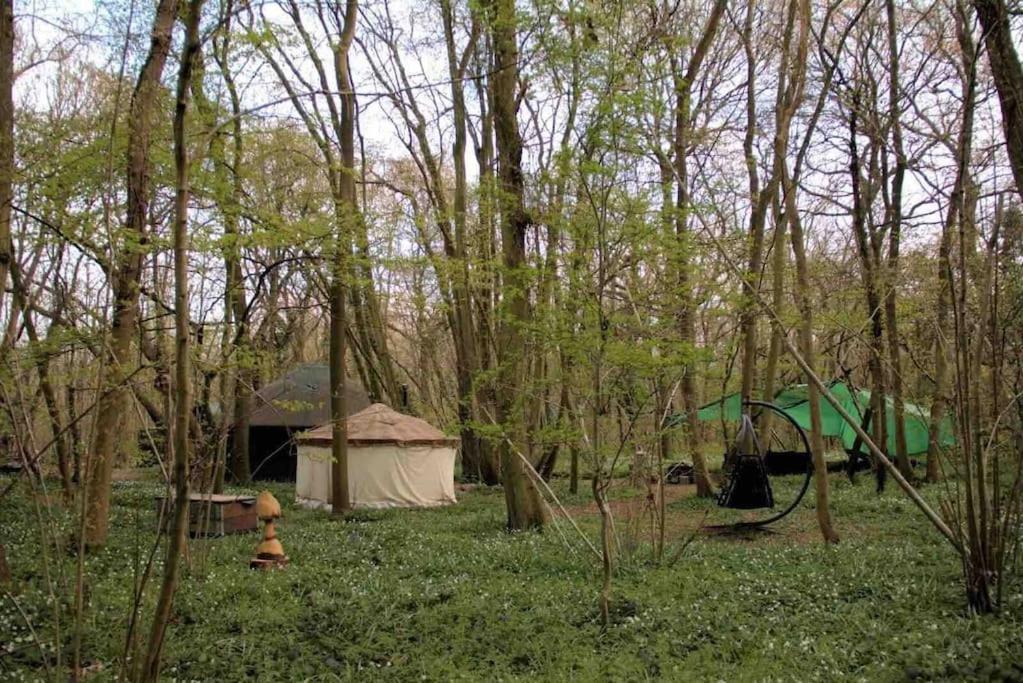Magical Forest Yurt Sturry Buitenkant foto