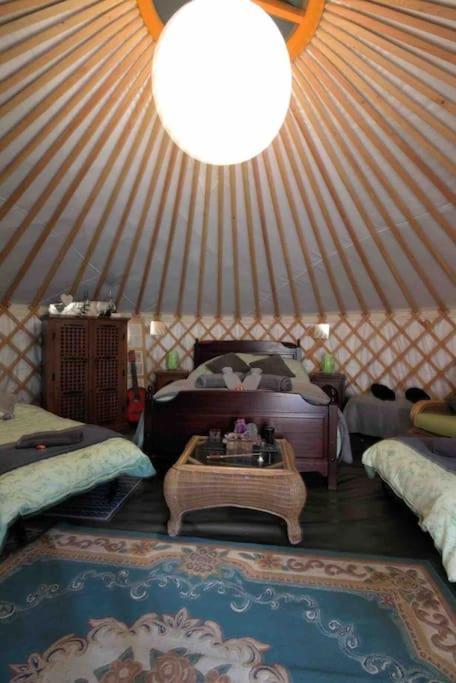Magical Forest Yurt Sturry Buitenkant foto