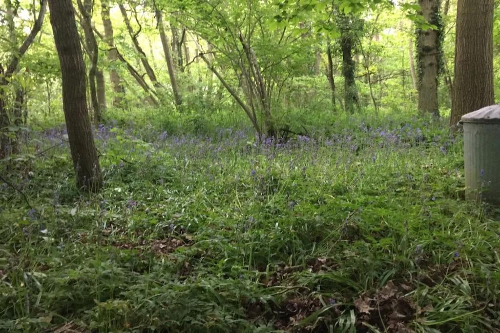 Magical Forest Yurt Sturry Buitenkant foto