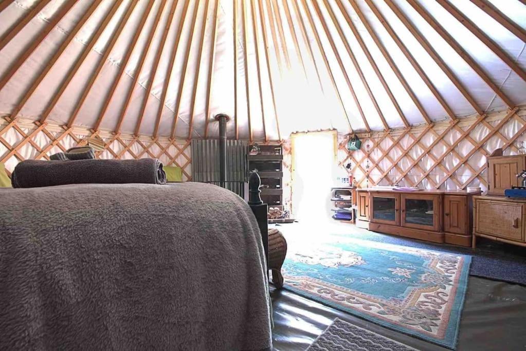 Magical Forest Yurt Sturry Buitenkant foto